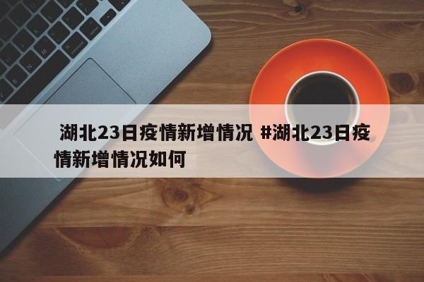  湖北23日疫情新增情况 #湖北23日疫情新增情况如何