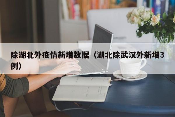 除湖北外疫情新增数据（湖北除武汉外新增3例）