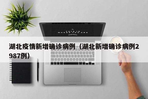 湖北疫情新增确诊病例（湖北新增确诊病例2987例）
